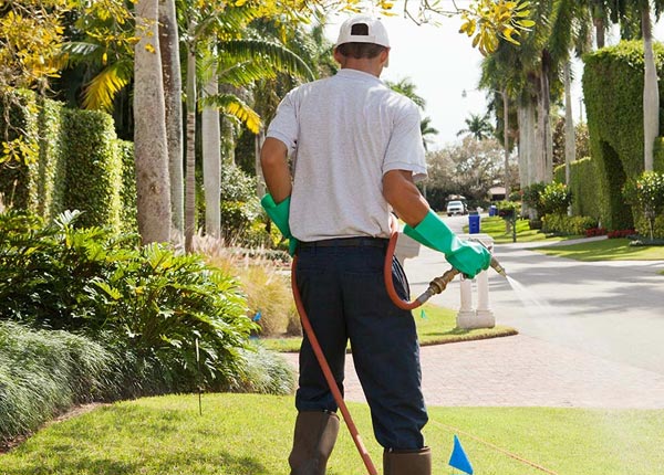 About Meridale NY Pest Control